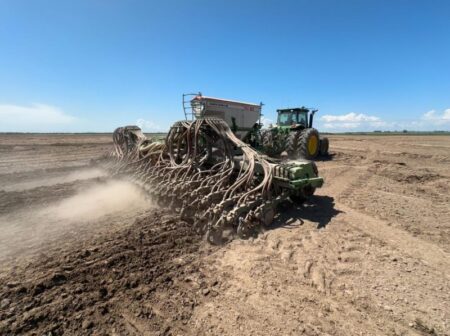 Sol colabora com a semeadura do arroz no RS, que chega a mais de 60%