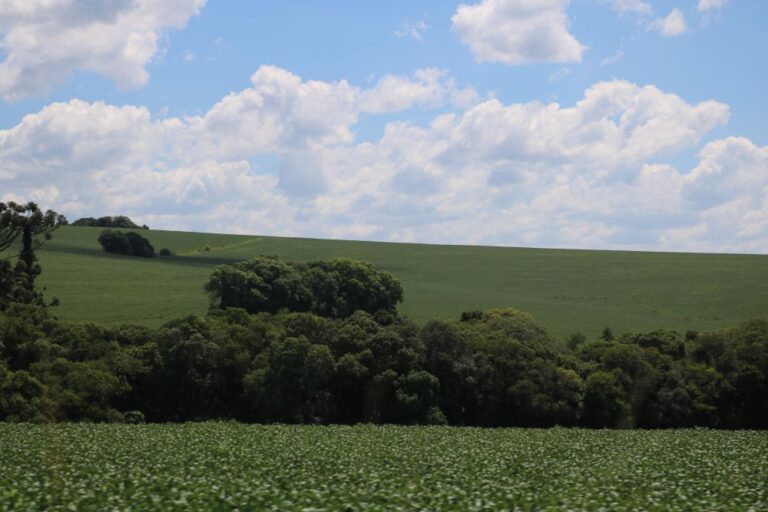 Participação gaúcha na Conferência da ONU para o Clima (COP29) destaca ações de adaptação para a resiliência
