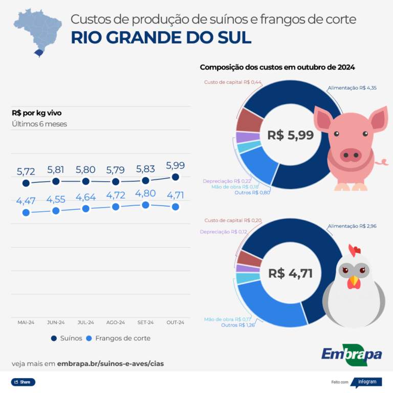 Custos de produção de suínos e frango acumulam mais uma alta