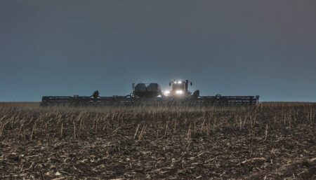 Soja: plantio avança e desenvolvimento segue favorável