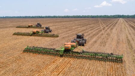 Soja já ocupa 52,9% da área brasileira prevista para 2024/25