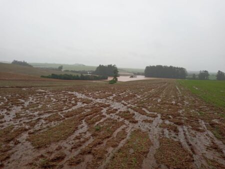 Agricultura familiar gaúcha comemora prorrogação de operações de crédito