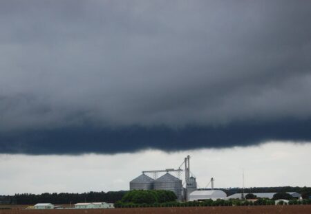 Lavouras gaúchas terão chuvas no próximo final de semana