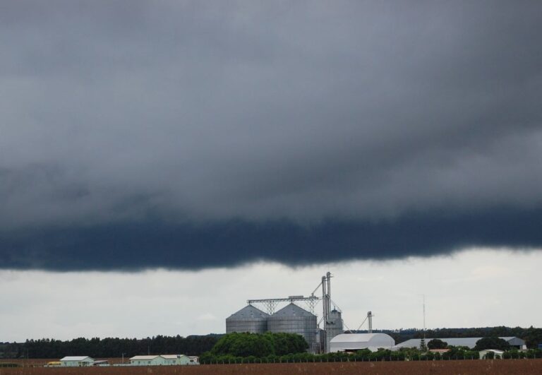 Lavouras gaúchas terão chuvas no próximo final de semana