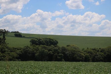 Próximos dias com “episódios atípicos” de frio para dezembro no RS