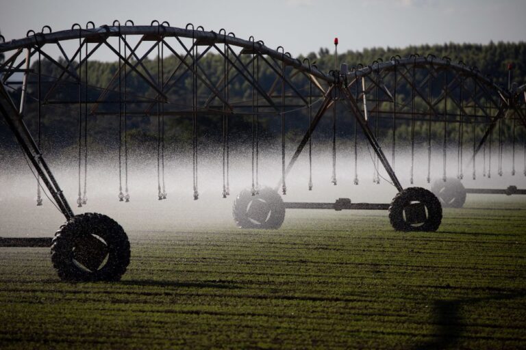 Plano ABC+RS busca melhorar a sustentabilidade do agro gaúcho