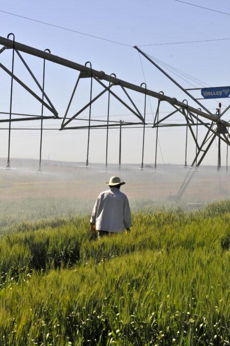Meta de irrigação do Plano ABC+RS já chega a mais de 50%, 120 mil hectares