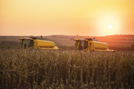 Acordo Mercosul e União Europeia pode beneficiar milho brasileiro