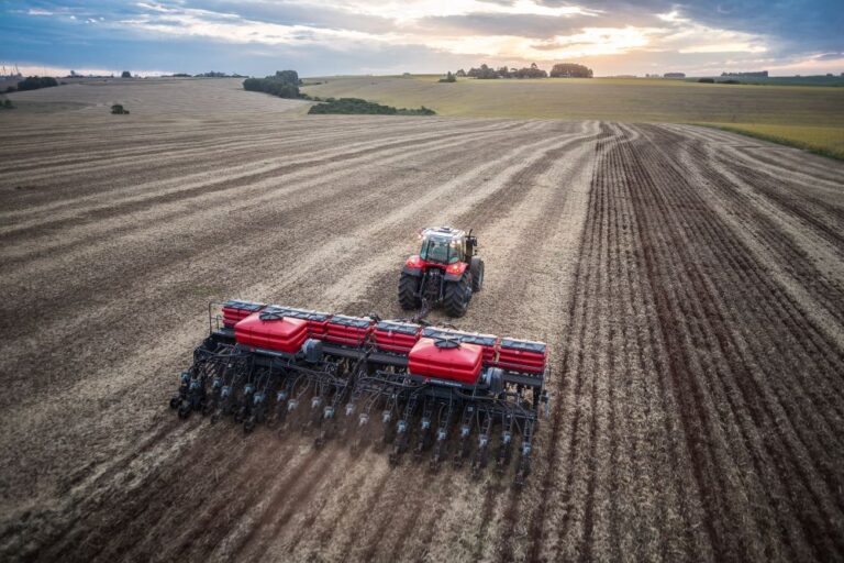 Projeção é que RS tenha safra de soja 2024/25 18% superior à anterior