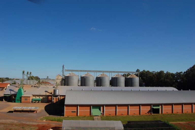 Embrapa lança versão atualizada de ferramenta de logística da agropecuária