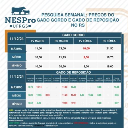 Após sucessivas altas, vaca gorda tem queda de preço no RS