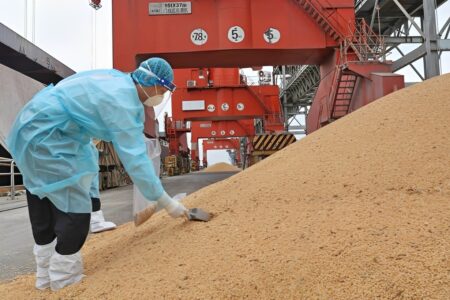 Estoques recordes de soja na China pressionam mercado global e limitam exportações dos EUA