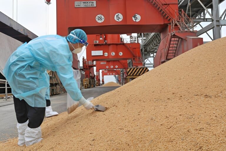 Estoques recordes de soja na China pressionam mercado global e limitam exportações dos EUA