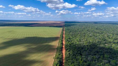 Três Visões de Uso da Terra e Preservação: Brasil, EUA e Europa em Perspectiva