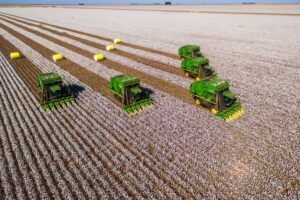 Falência do Grupo Pupin marca um dos maiores colapsos recentes do agro