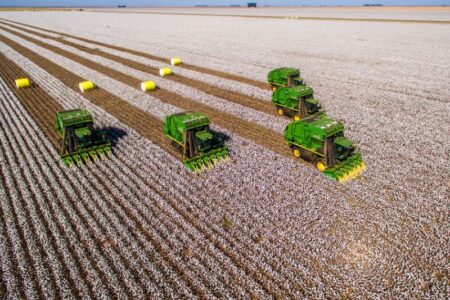 Falência do Grupo Pupin marca um dos maiores colapsos recentes do agro