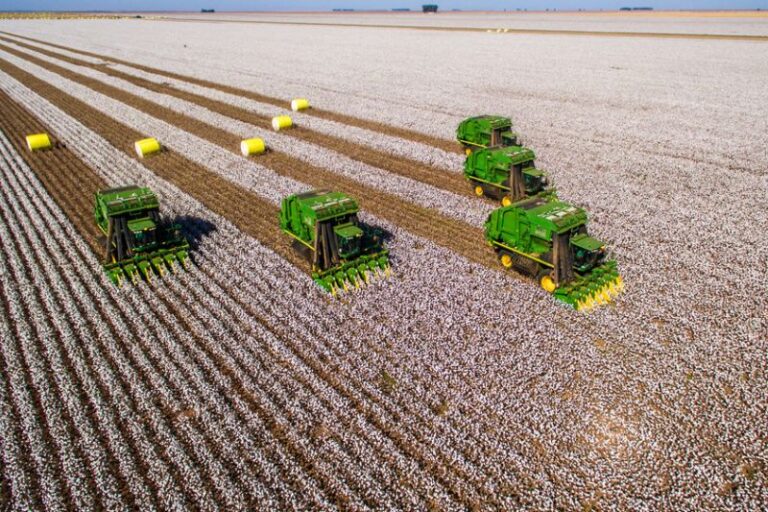 Falência do Grupo Pupin marca um dos maiores colapsos recentes do agro